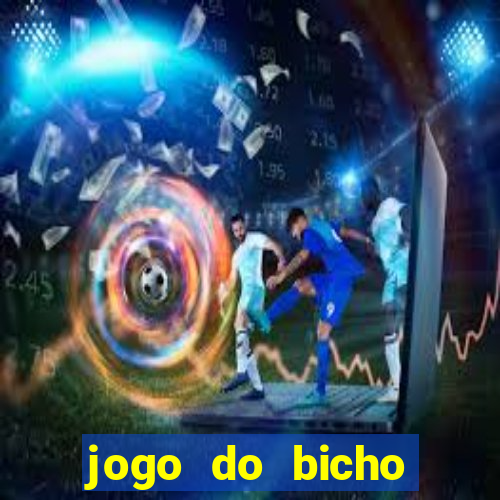 jogo do bicho crash bingo